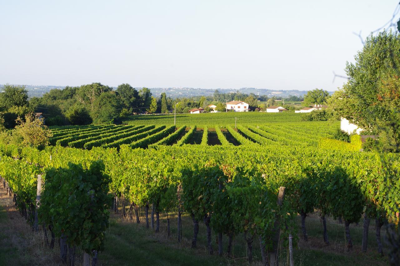 Отель Domaine Mongiron Nerigean Экстерьер фото